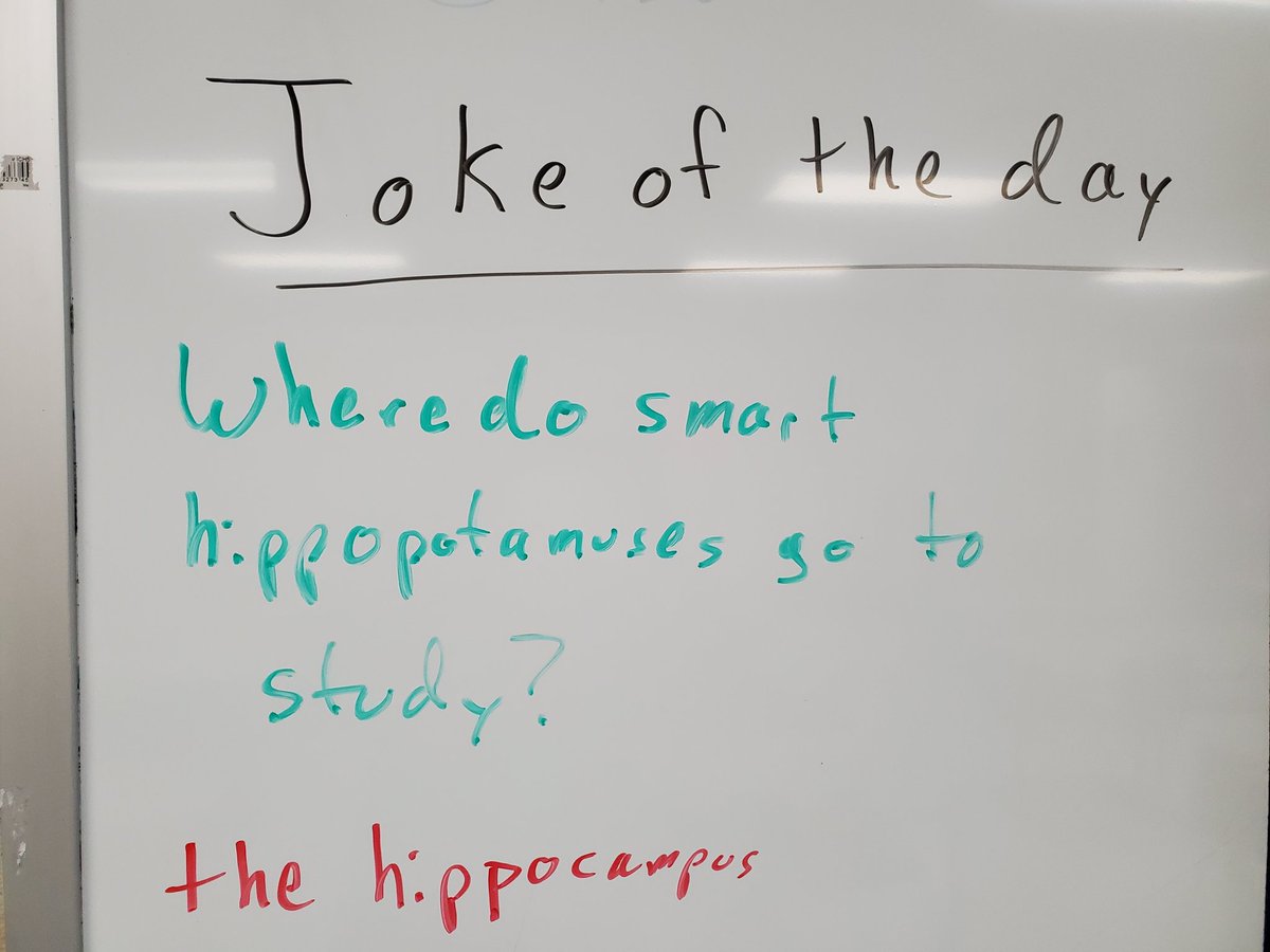Dr_ottman's tweet photo. #JokeOfTheDay https://t.co/H1TBDysWWQ