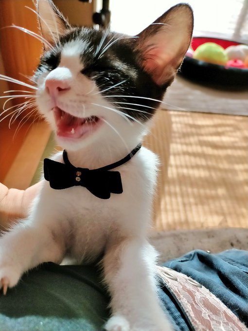 おはようございます! 