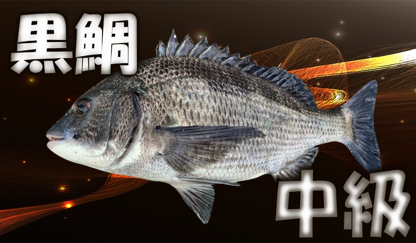 サカナシティ おはようございます サカナシティのブログ 黒鯛 落とし込み釣り を公開しました T Co Bajoxgwpxg 生態 道具 エサの付け方 釣り方等掲載しています ぜひ 覗いてみてください チヌ釣り 黒鯛 釣り好きと繋がりたい 釣り