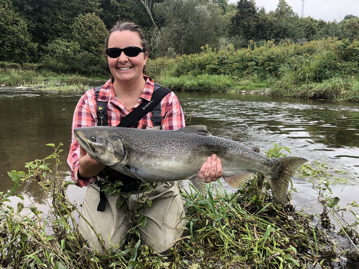 EmilyG_Fish_Dr's tweet photo. Got out this weekend to get some fishy inspiration #getoutside #chinook #salmon #orvis #fishNY https://t.co/bSEJAIMYH5