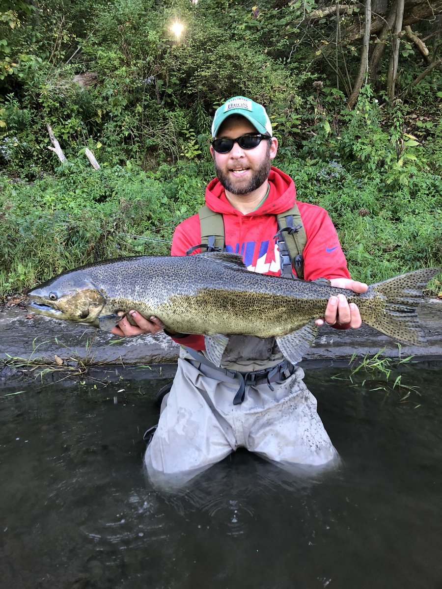 EmilyG_Fish_Dr's tweet photo. Got out this weekend to get some fishy inspiration #getoutside #chinook #salmon #orvis #fishNY https://t.co/bSEJAIMYH5