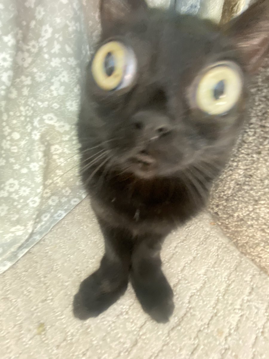 ik i already posted these but god i love these pictures