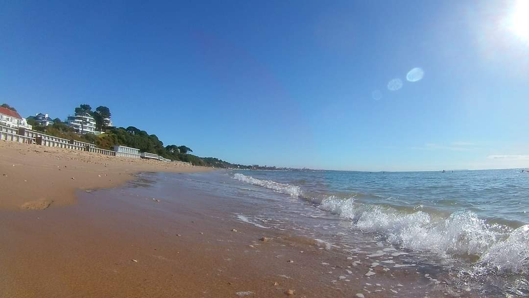 learningpowered's tweet image. Monday was tough... 😎