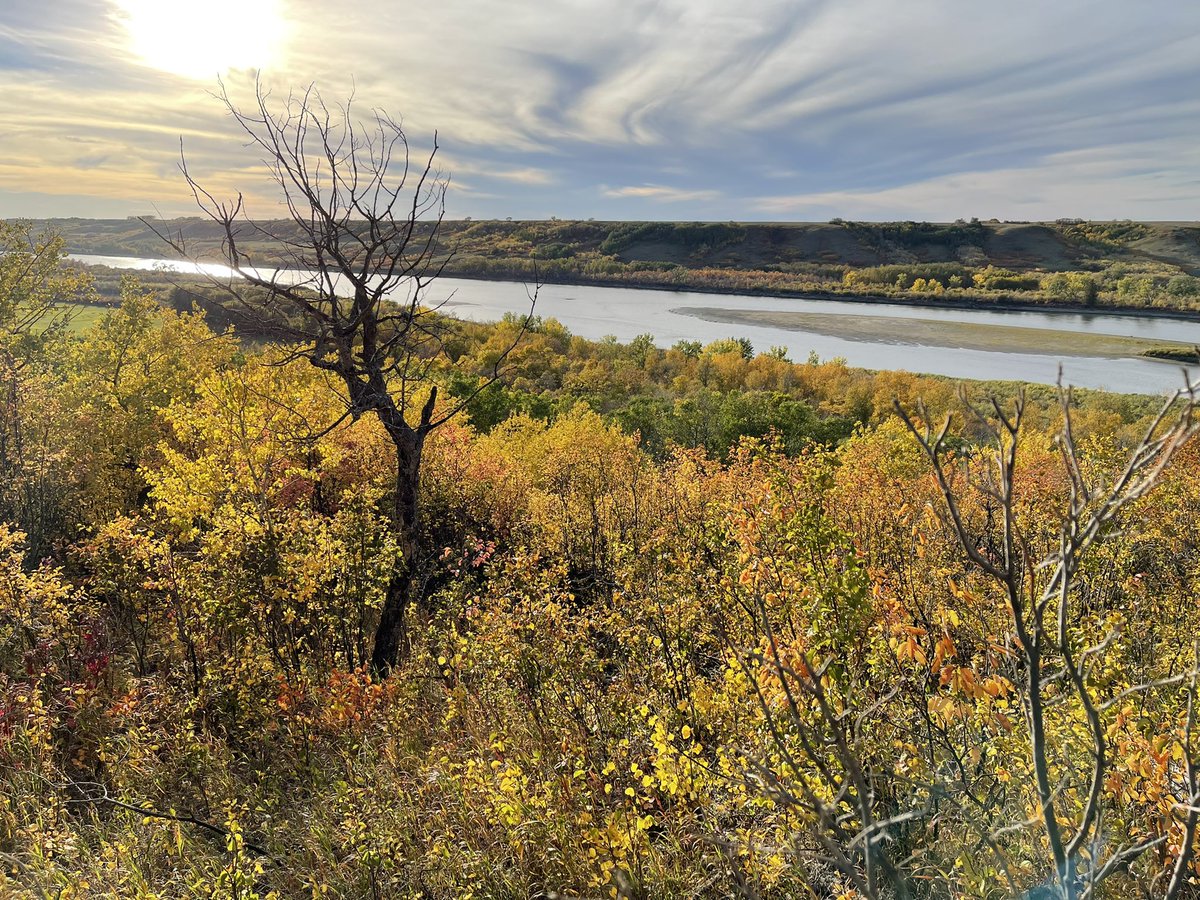 Elliott_R_H's tweet image. That special time of year when it’s like working in a priceless painting.  Thankful for clients, colleagues and family!  @westernagNWSK