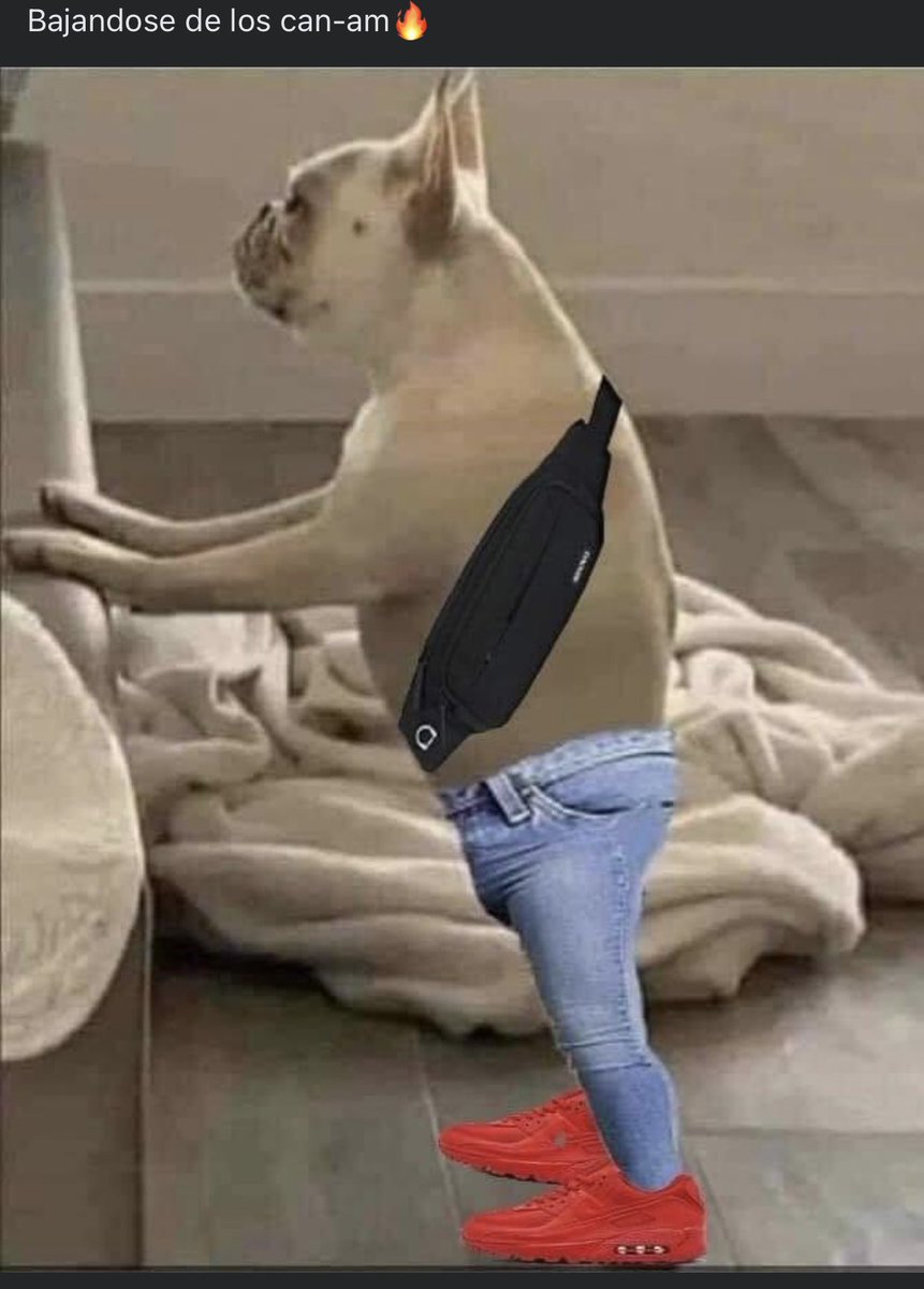 PepoWoodz's tweet photo. AYYY NOOOOOOO 😭😭😭😭😭😭😭😭😭😭 https://t.co/eruwWSe0i7