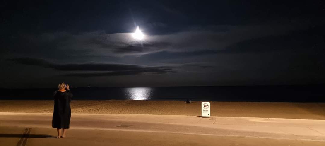 learningpowered's tweet image. Tuesday evening, part 2, was awesome, too. 35 fellow swimmers took to the water to admire the Harvest Full Moon  🌚