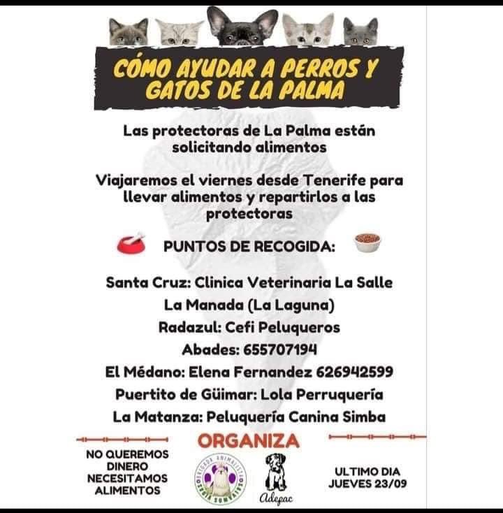 TrigoGuerr's tweet image. #SoSLaPalma