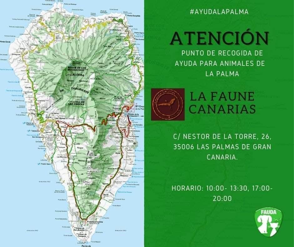 TrigoGuerr's tweet image. #SoSLaPalma