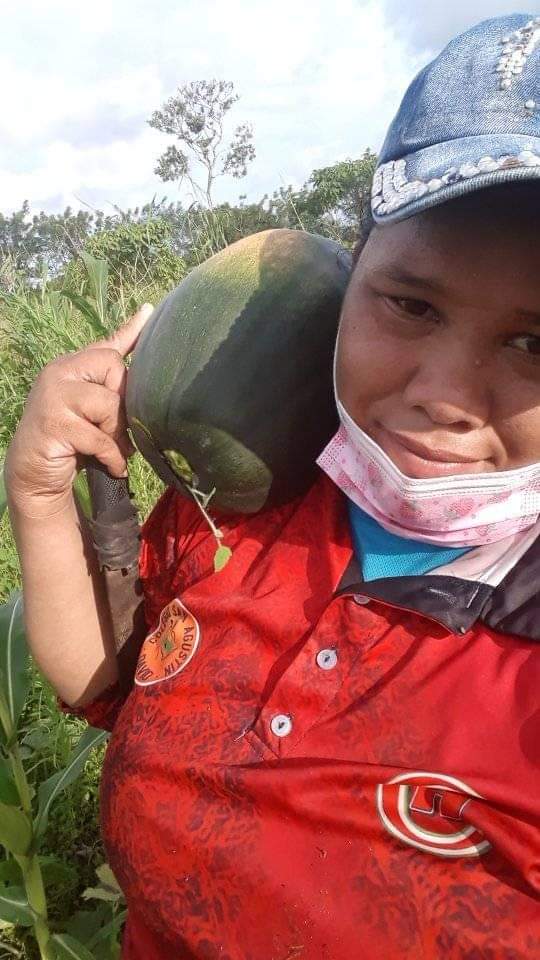 CosechaAgro's tweet photo. Nos comparte nuestra amiga Rosa Aparicio "El que sabe lo que siembra, no le teme a la cosecha. Siempre agradecida con Dios por un día de cosecha ."
#Agro #AgroCosechaPanamá #Farm #Agricultura #somosAgro #Panamá #pecuaria #ConsumeLoNacional #Agricultura #Agro #ApoyandoAlProductor https://t.co/slTSQed88c