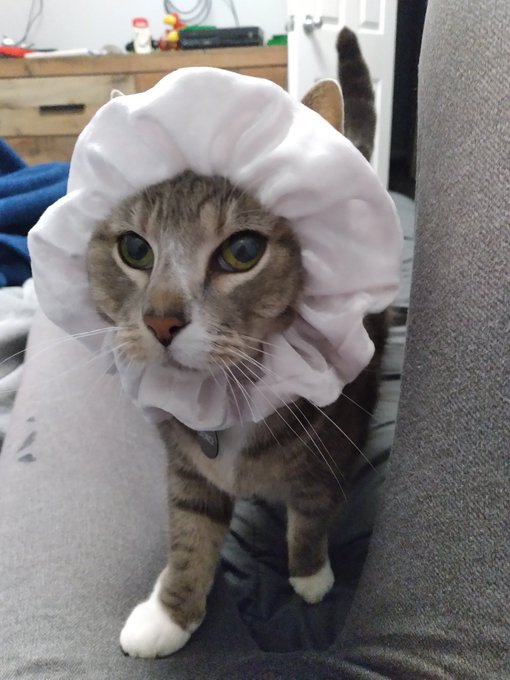 @bIoodletters Enjoy, stranger 🥰 https://t.co/2rAPB6l545<a class="tags" target="_blank" title="On Twitter" href="/?out=eyJ0eXAiOiJKV1QiLCJhbGciOiJIUzUxMiJ9.eyJpYXQiOjE3MjY4MTU1OTEsImlzcyI6InR3cG9ybnN0YXJzLmNvbSIsIm5iZiI6MTcyNjgxNTU5MSwiZXhwIjoxNzU4MzUxNTkxLCJyZWRpcmVjdF91cmwiOiJodHRwczovL3R3aXR0ZXIuY29tL2JJb29kbGV0dGVycyJ9.cmuIuyyurUXIkYD3lHWv7jGIw5QVYe4_Yco1M0v4ayWJQh7XW12wOxcYy2dyk_q4KQz6D3wz7h3ySXReTKnJzw">@bIoodletters</a>