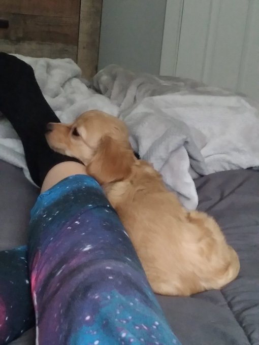 @bIoodletters Enjoy, stranger 🥰 https://t.co/2rAPB6l545<a class="tags" target="_blank" title="On Twitter" href="/?out=eyJ0eXAiOiJKV1QiLCJhbGciOiJIUzUxMiJ9.eyJpYXQiOjE3MjY4MTU1OTEsImlzcyI6InR3cG9ybnN0YXJzLmNvbSIsIm5iZiI6MTcyNjgxNTU5MSwiZXhwIjoxNzU4MzUxNTkxLCJyZWRpcmVjdF91cmwiOiJodHRwczovL3R3aXR0ZXIuY29tL2JJb29kbGV0dGVycyJ9.cmuIuyyurUXIkYD3lHWv7jGIw5QVYe4_Yco1M0v4ayWJQh7XW12wOxcYy2dyk_q4KQz6D3wz7h3ySXReTKnJzw">@bIoodletters</a>