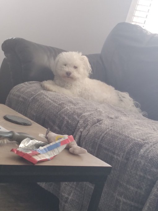 @bIoodletters Enjoy, stranger 🥰 https://t.co/2rAPB6l545<a class="tags" target="_blank" title="On Twitter" href="/?out=eyJ0eXAiOiJKV1QiLCJhbGciOiJIUzUxMiJ9.eyJpYXQiOjE3MjY4MTU1OTEsImlzcyI6InR3cG9ybnN0YXJzLmNvbSIsIm5iZiI6MTcyNjgxNTU5MSwiZXhwIjoxNzU4MzUxNTkxLCJyZWRpcmVjdF91cmwiOiJodHRwczovL3R3aXR0ZXIuY29tL2JJb29kbGV0dGVycyJ9.cmuIuyyurUXIkYD3lHWv7jGIw5QVYe4_Yco1M0v4ayWJQh7XW12wOxcYy2dyk_q4KQz6D3wz7h3ySXReTKnJzw">@bIoodletters</a>