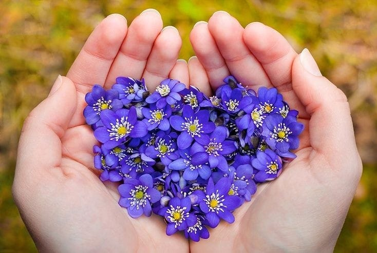 Mona_El_'s tweet photo. إذا خُذلت من الذين حولك، فقط جدّد العواطف في قلبك بحبّ نفسك .
- سيغموند فرويد https://t.co/Q40ZB4tJua