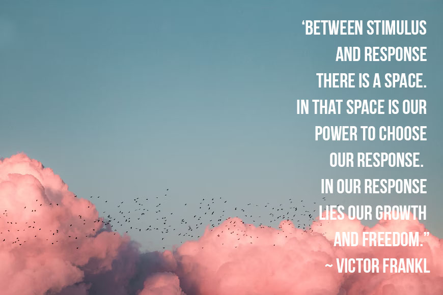 Barbara Glanz (@barbaraglanz) on Twitter photo 