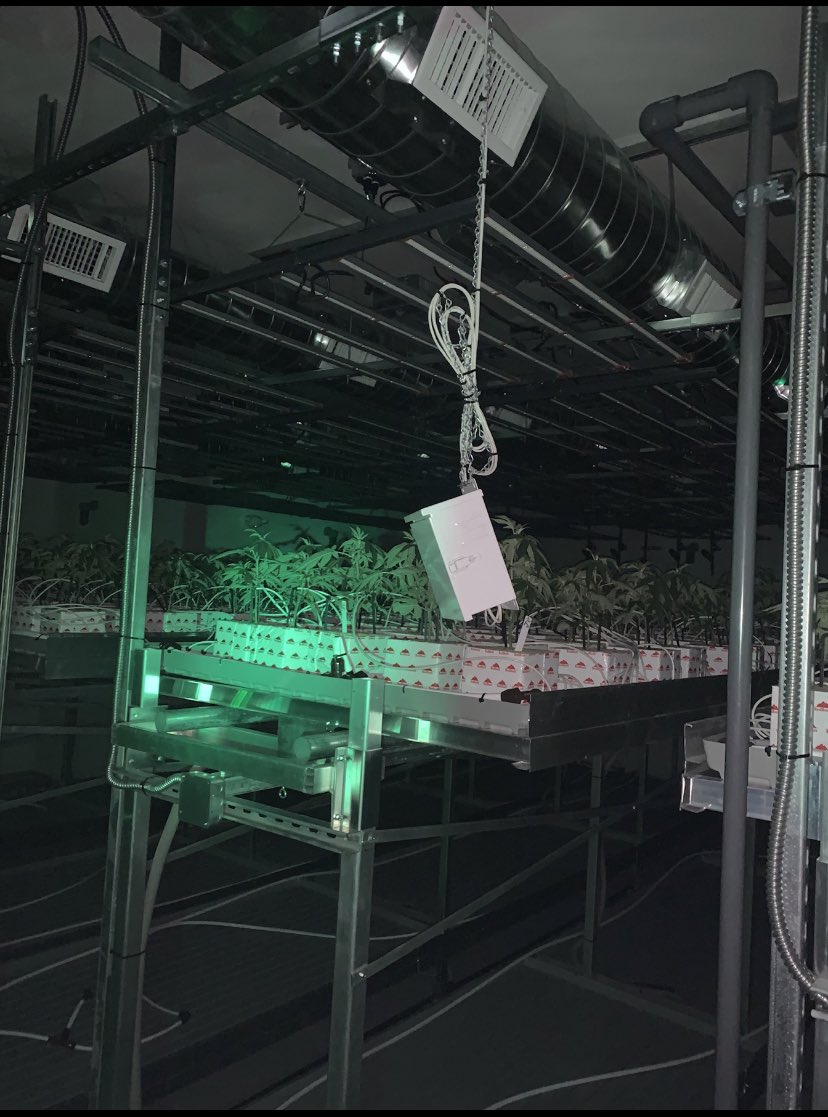 HVACDConsulting's tweet photo. Having proper HVACD control allows the plants to produce a better VPD and humidity rate upon your stage of your cycle and during both light modes. Call your nationwide cultivation HVACD experts now and receive a free consultation now at 707-759-6744 #lightsoff #lightson #HVACD https://t.co/PDkjBOjKwt