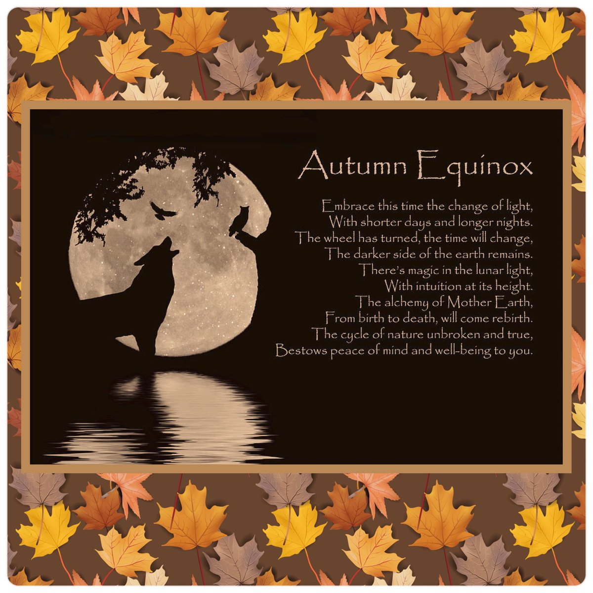 WhidbeyGypsy's tweet image. ✨🍁💛🍁✨