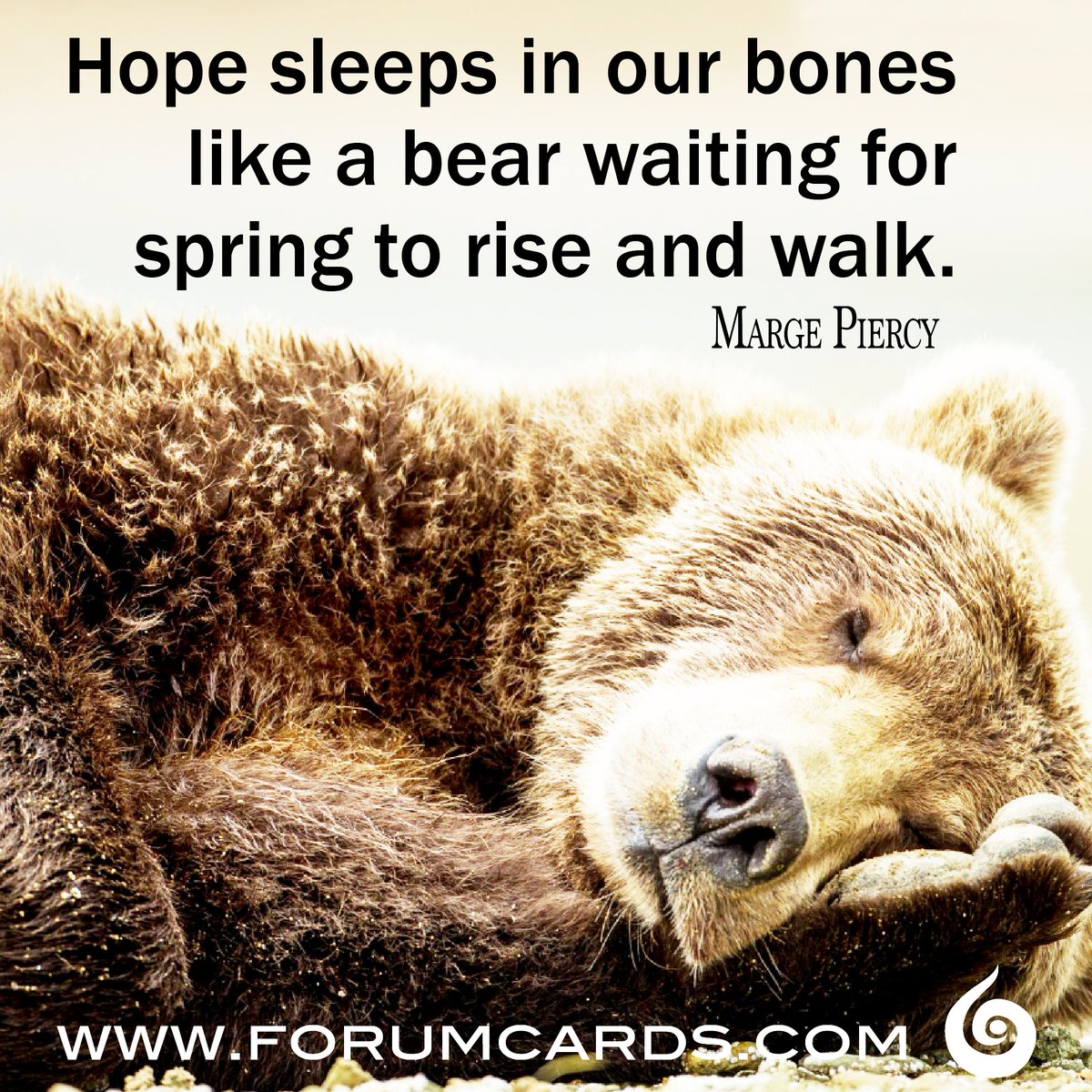 Forumcards's tweet photo. Hope is such a force: A fresh start, a clean slate, a chance to make a change is always around the corner.
#forumcards #hope #change #newbeginnings #lifejourney #happiness #happy #margepiercy #quotes #inspirationquotes #being #bear #newstart #newlife #cleanslate https://t.co/ABpI77WlJi