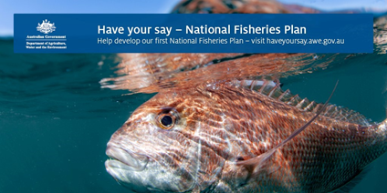 Consultation is now open for the #NationalFisheriesPlan. Fishing is an important cultural, recreational, &amp; commercial activity 4 many Australians, &amp; it’s vital that we have a plan in place to support its sustainable growth. Have Your Say via bit.ly/3u3IEGi