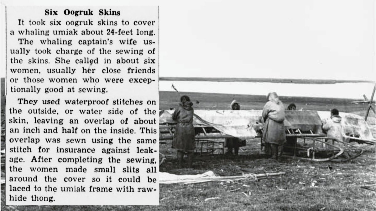 Alaska State Library & Archives tweet media