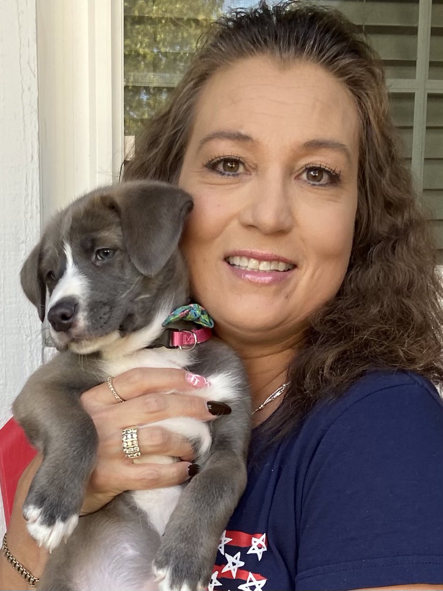 kellylynny16's tweet image. I am in love again! #LadyAda