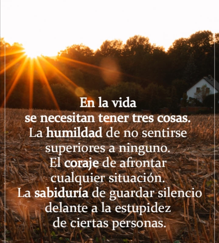 PauloCoelhoDice's tweet photo. https://t.co/sf0doBEHQi