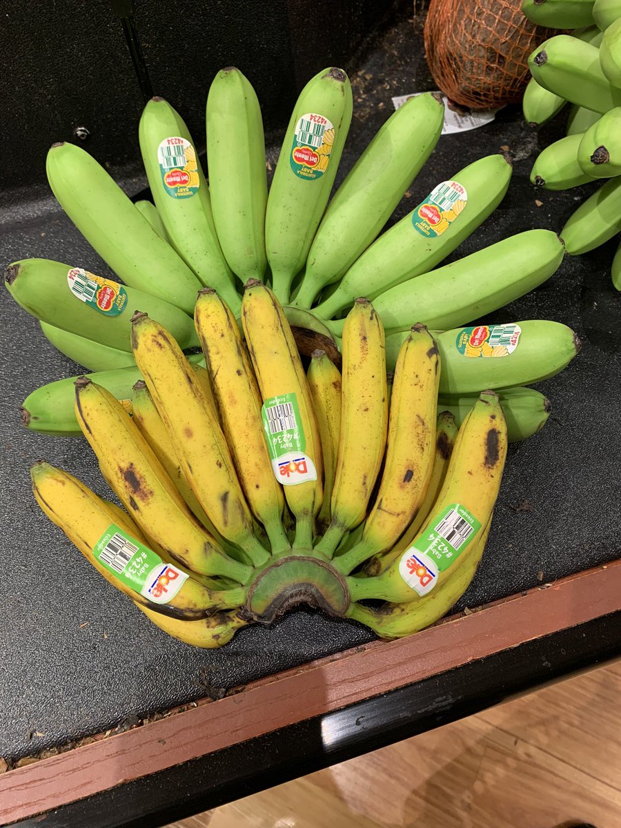 shelbysessler's tweet photo. I don’t eat bananas, but I’m obsessed with these baby-nanas #banana #minibanana #babybananas #tinyfruit https://t.co/iMd0OSURrQ