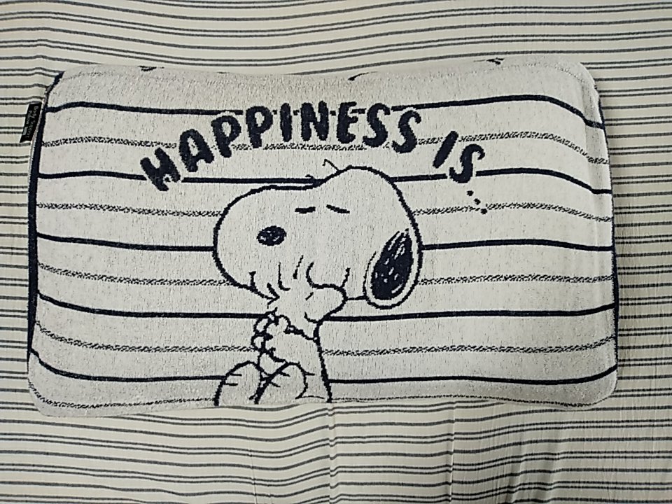 スヌーピー兄弟 Twitter Search Twitter