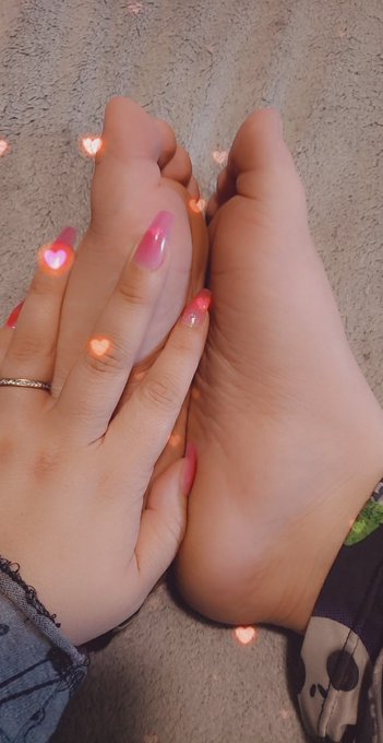 You know youd just love to snuggle these huh?  ☆ FinDom ♡ paypig ♡ cashslave ♡ footfetish ♡ worshipme<a href="/tag/legstwitter"class="tags"><span>#legstwitter</span></a>