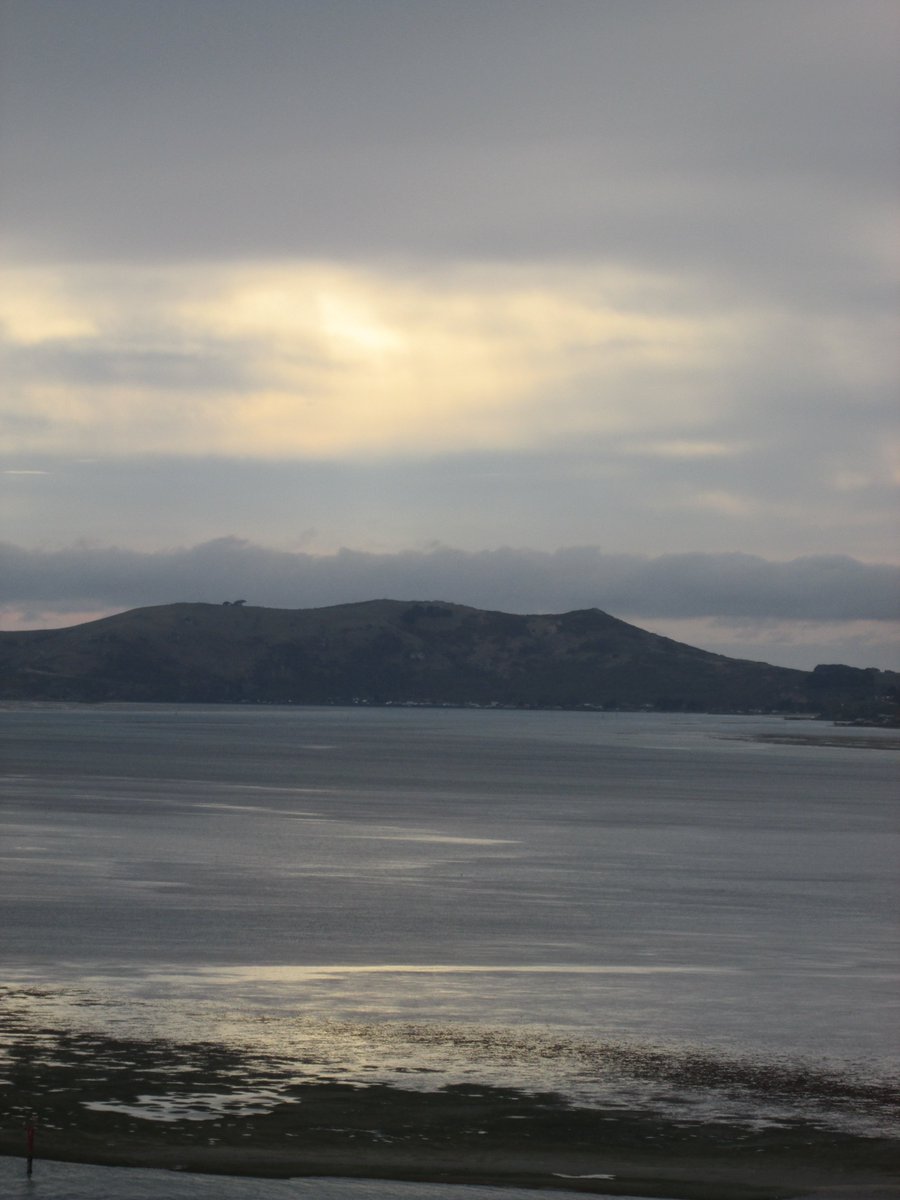 allanrob9's tweet photo. Before reaching home in #CareysBay from the Sunday gym I drove up to #ObservationPoint. #PortChalmers #NZ To enjoy the view of the #OtagoHarbour. Another wonderful place to gaze. https://t.co/CuW3dihLXl