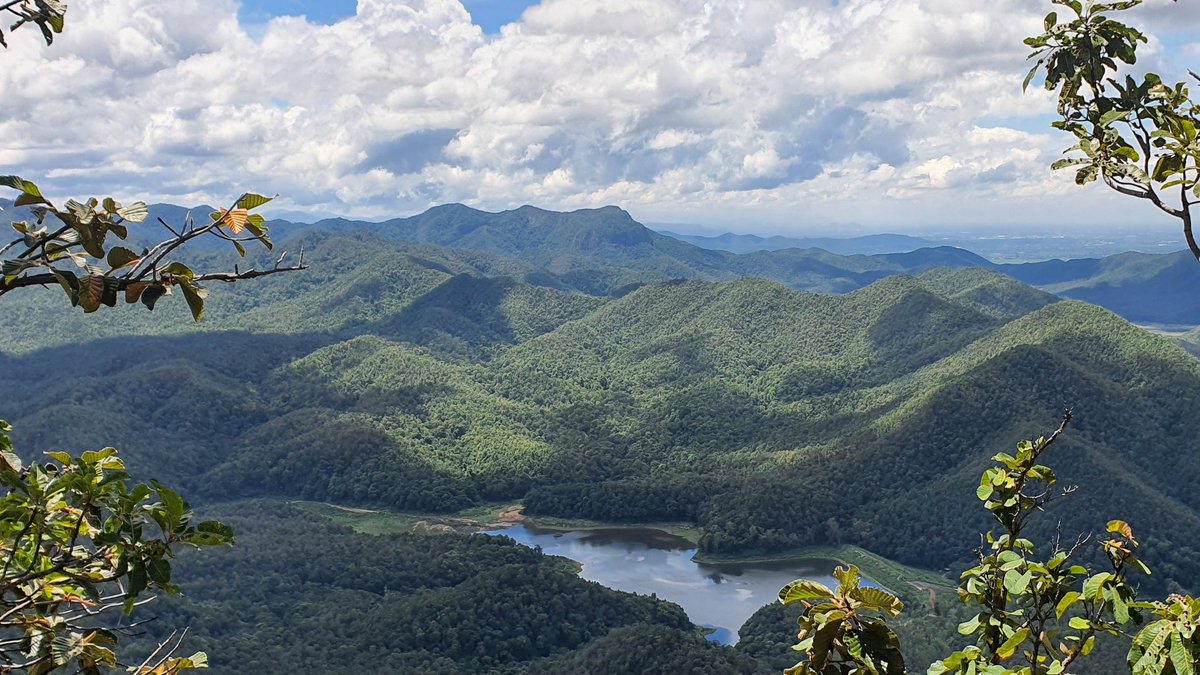 cnxtrailrunning's tweet photo. Priceless views from the top of Doi Nang Moh (ดอยนางเมาะ). Quite an adventure to get there, but worth it!
#pricelessview #ดอยนางเมาะ #chiangmaihikes #chiangmaitrails https://t.co/1hk77uDZwM