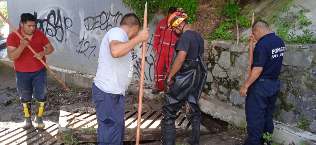 PCSnAndresCH's tweet photo. Esta tarde, nuestros bomberos rescataron 9 patitos bebés que cayeron dentro de una rejilla de desague pluvial en la col. Emiliano Zapata, mismos que fueron llevados a nuestras instalaciones para su observación y cuidado. #ValoresQueSalvanVidas #ValoresQueHacenGobierno https://t.co/SqRzuTOPKa
