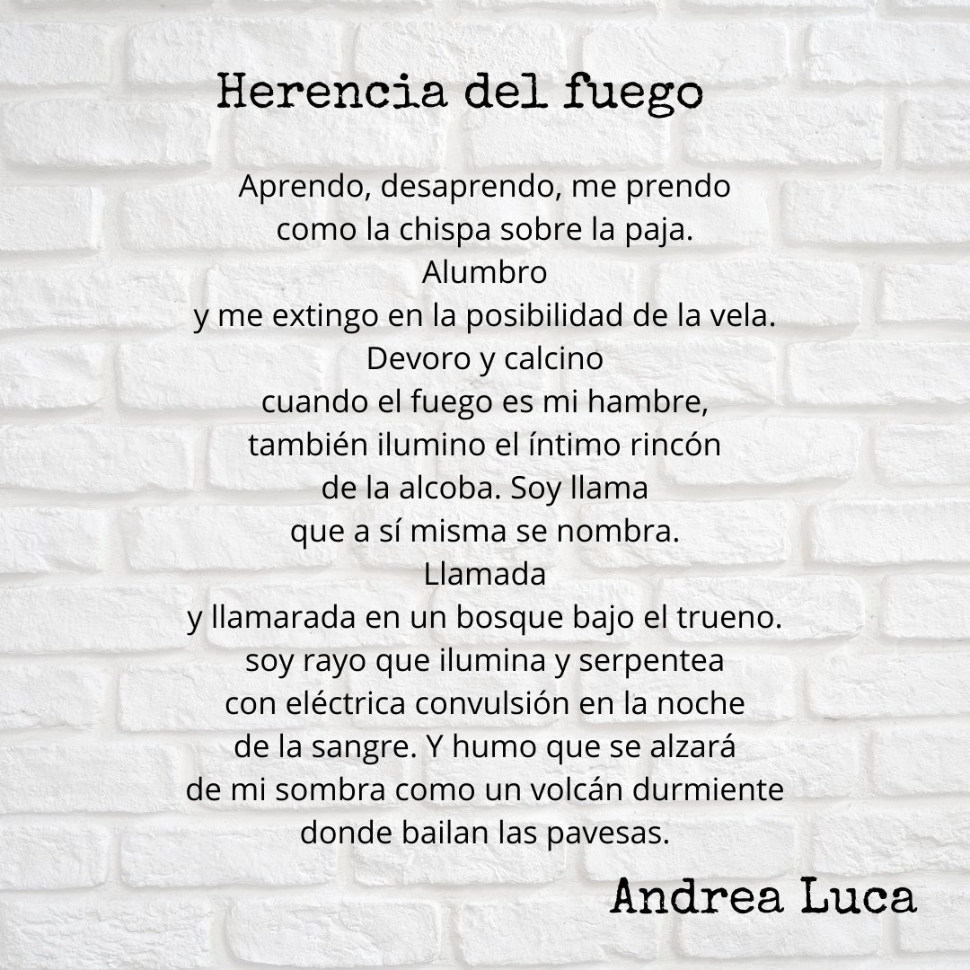 textuales_mx's tweet photo. #poesía para nombrar, para reconocernos, para resistir. Hoy un #poema de #AndreaLuca 
#Textuales #booklovers #martesdepoesía https://t.co/sKFPBpJoW6