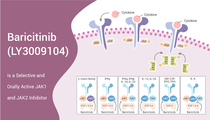 MedChemExpress's tweet image. #Baricitinib (#LY3009104) is a selective and orally bioavailable #JAK1 and #JAK2 inhibitor with IC50s of 5.9 nM and 5.7 nM, respectively. #drugdiscovery. bit.ly/3CAnzpP