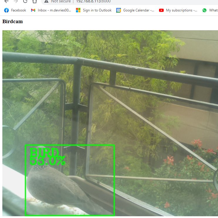 PhysicsMitch's tweet photo. So I'm using #ComputerVision to identify birds when they visit our birdfeeder. Is this a good use of my time? Maybe? Is it good practice coding? Absolutely! #pythonprogramming #makers https://t.co/oxs0q1PbSD