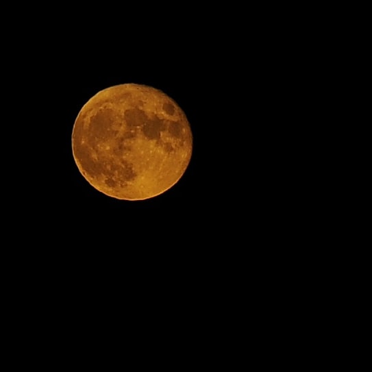 OverTables's tweet photo. Your Full Harvest Moon rising over Vermillion, MN, on the Autumnal Equinox. What glory! #NOFILTER #realcolor #handheld https://t.co/6obtszZXg2
