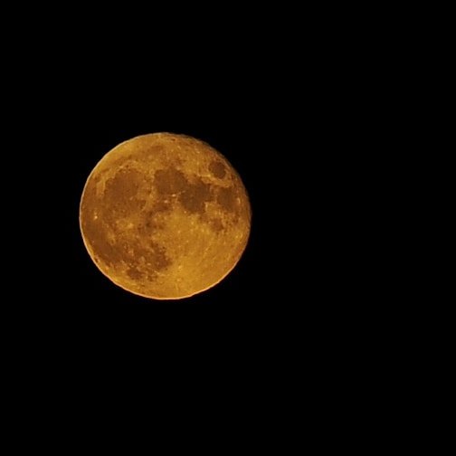 OverTables's tweet photo. Your Full Harvest Moon rising over Vermillion, MN, on the Autumnal Equinox. What glory! #NOFILTER #realcolor #handheld https://t.co/6obtszZXg2