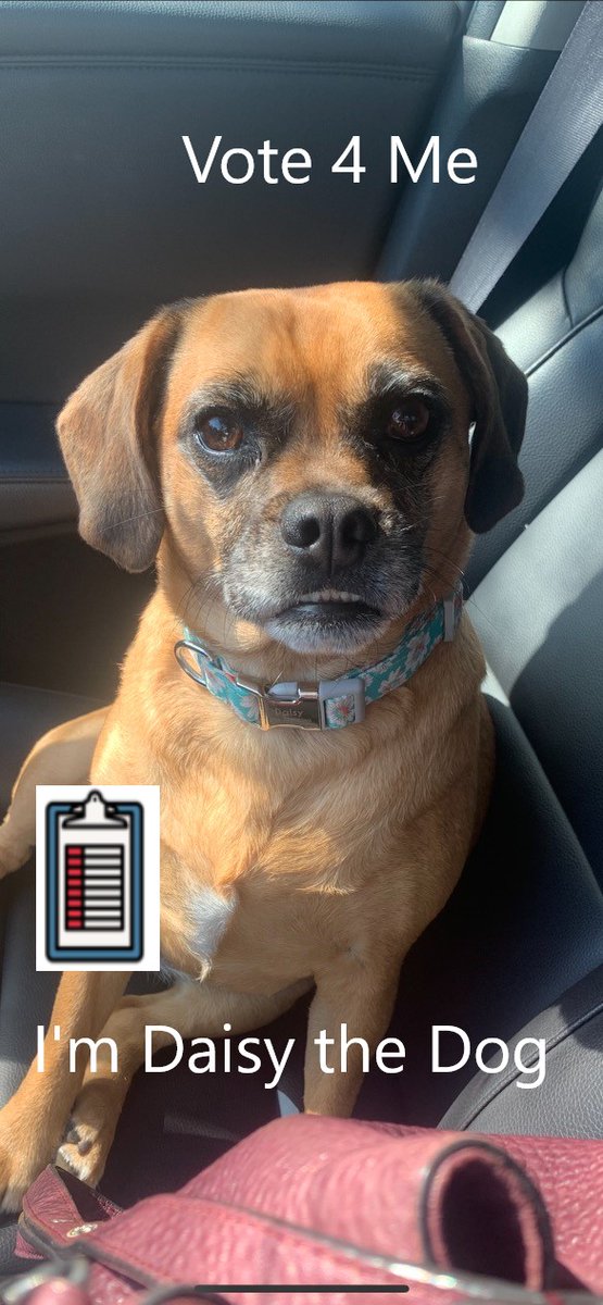 New Orleans Stawm tweet media