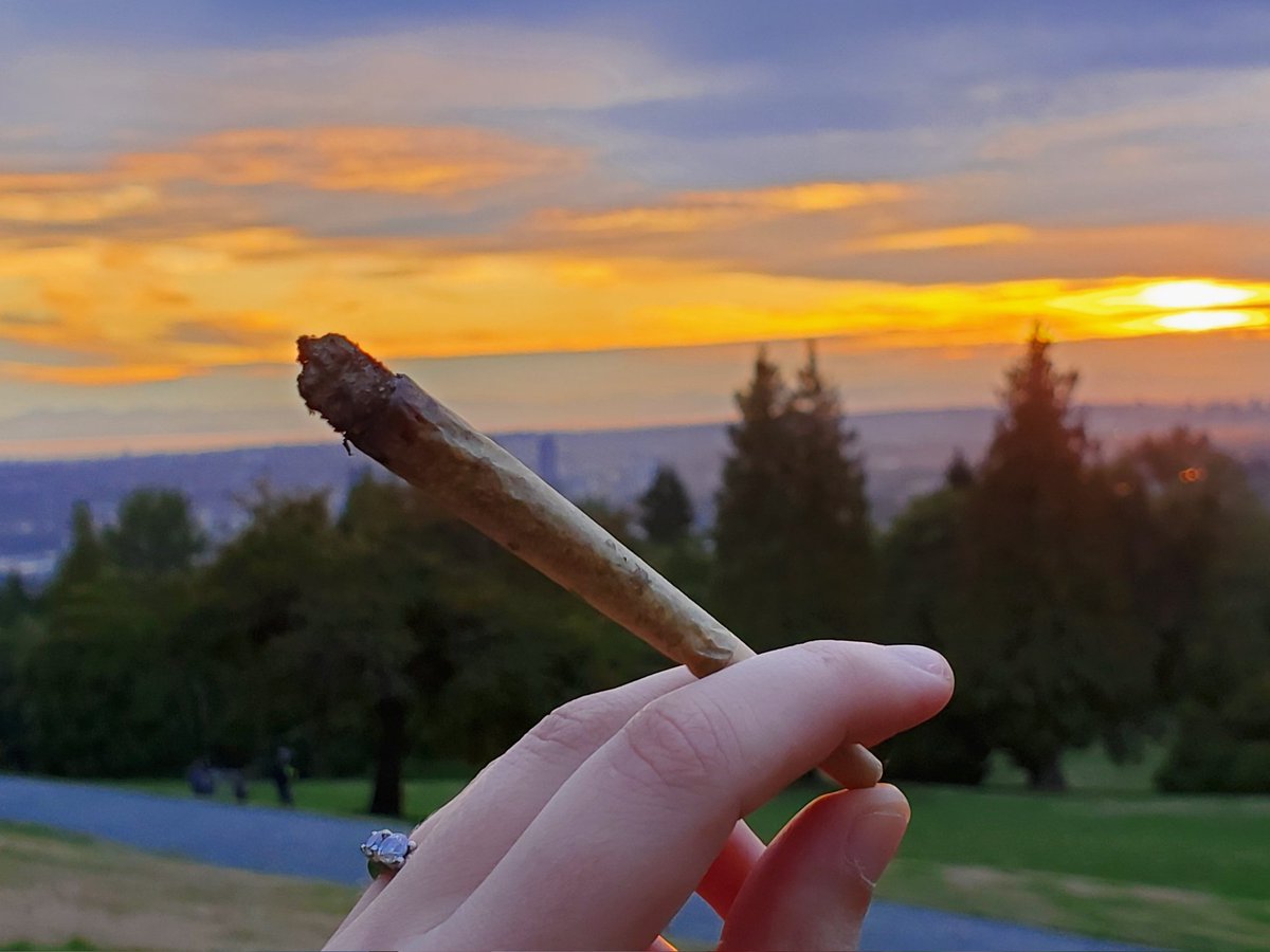 Bong_Bae_'s tweet photo. Currently: π
No flash Vs Flash π¬
Platinum Cookies Master Blaster @mastertokes
#sunset #burnabymountain #preroll #joint #whiteash #bakedinbc https://t.co/rCsGnBmANm