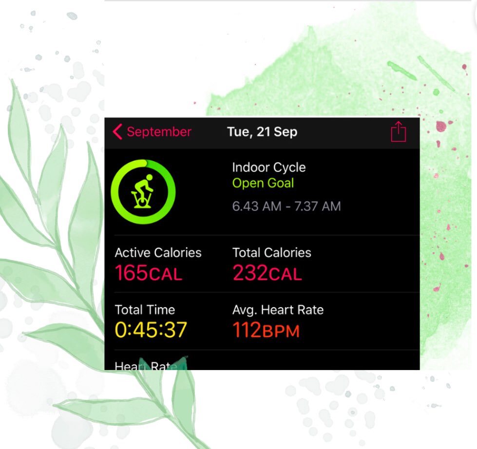 BABA Zorro Kitty: SWEET 17(+51) BDAY VIBE NEXTWEEK tweet media