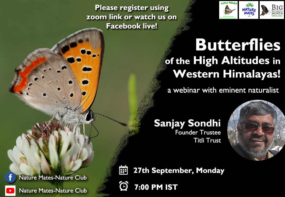 Join us on 27th Sep, 7:00 P.M. IST to know about 'Butterflies of the High Altitudes of Western Himalayas' from Mr. Sanjay Sondhi, an eminent naturalist and Founder Trustee of Titli Trust. Register using the zoom link bit.ly/3AypUAT
#bbm21 #bigbutterflymonth21 #bbmindia