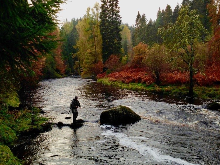 SFHScotland's tweet photo. https://t.co/RE8fHX0ago
Salmon fishing in the Scottish Highlands...no words needed!

#salmonfishingholidaysscotland #fishingholidays #flyfishing #guidedflyfishing #visitscotland #scottishsalmonfishingpodcast #shortbreaks https://t.co/xC96SPyePA