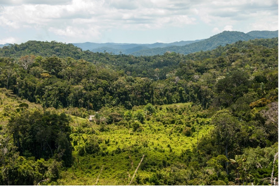 Our new paper is out today in <a href="/RSocPublishing/">Royal Society Publishing</a> #ProcB #openaccess We use #genomic data to investigate the history of some of the rarest plants on #Madagascar - we tackled a simple question - were these rare species always rare? bit.ly/3CA4VP0 Thread 1/7