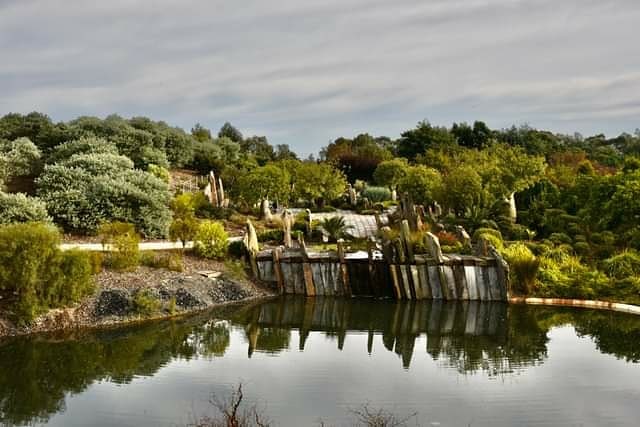 SacredSpaces31's tweet photo. Interested in Australian flora &amp; architecture? 🇦🇺 We check out @RBG_Victoria Cranbourne talking design, inspiration and the beauty of aussie plants in the gardens. 🍂🌾 Episode AIRS 6pm @C31Melbourne https://t.co/3Dm1AF6RtH
