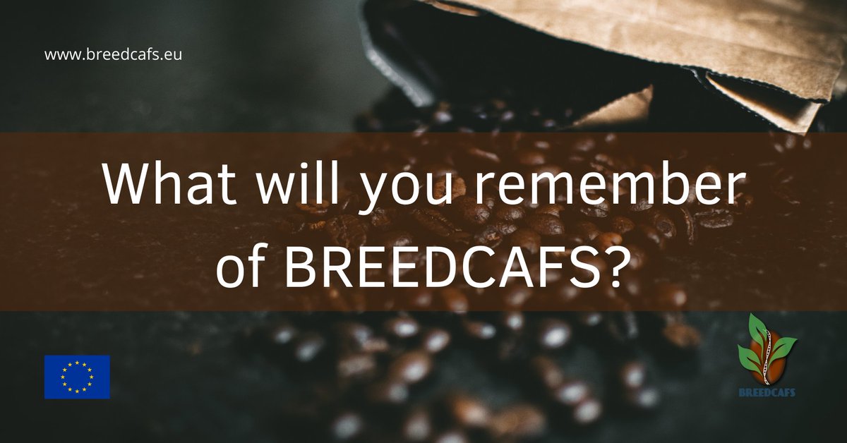 🎉 As we approach towards the true end of #BREEDCAFS Project we would like to ask to our Partners what memory will they bring with them. Funny or interesting moments… Let us know in the comments!