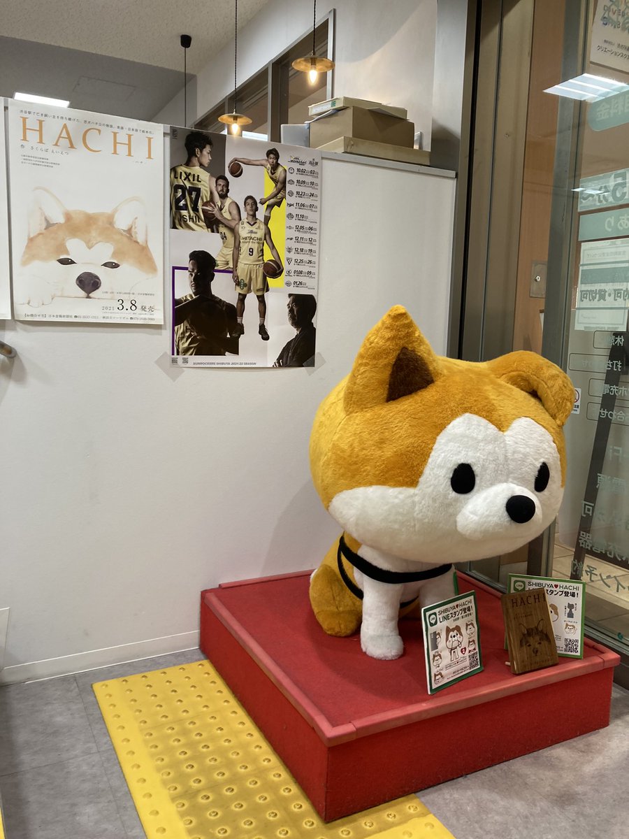 TokyoSunrockers's tweet photo. 渋谷区観光協会(@playshibuya)にポスターを掲出していただきました🐶✨いつも応援、サポートありがとうございます🐻💛SHIBUYA♡HACHIと一緒���…📸✨

#サンロッカーズ渋谷 #Bリーグ #バスケ #渋谷区 https://t.co/O9HA4asG5K