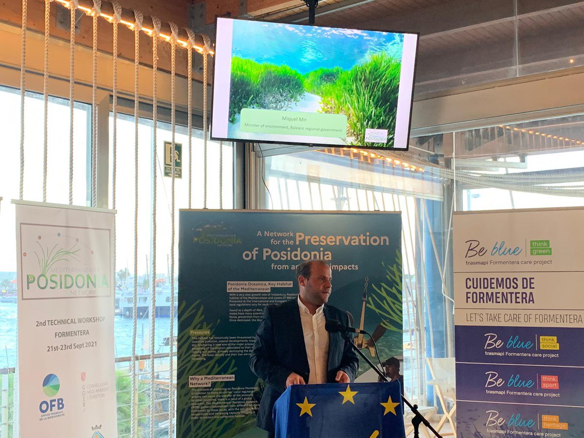Mediterranean Posidonia Network tweet media