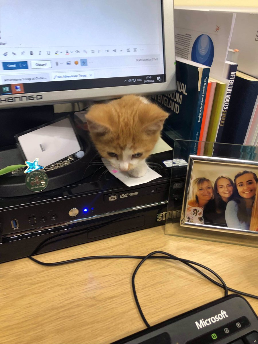 OutwoodsCat's tweet photo. 1/2 Friends! I have some news. *Deep breath*.
I have a new baby brother!
I wasn’t too keen at first, but now it has dawned on me that here’s here long-term. I love him.
His name is Bobby, the school have given him a home as he really needed one. 
#CatsOfTwitter #cats. #Hedgewatch https://t.co/42vRAEglFZ