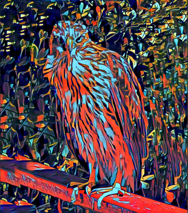 Deported (deported.tez/sol) tweet media