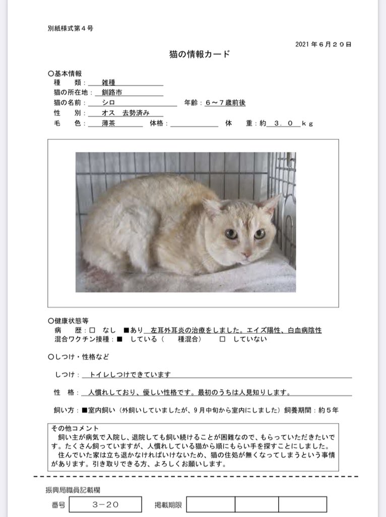 釧路振興局さん 飼い主さがしノート 成猫の子達 緊急里親募集案件とのことです とありますので 北海道 保健所 里親募集 釧路振興局さん 飼い主さがしノート 成猫の子達 緊急里親募集案件とのことです とありますので 北海道 保健所 里親募集