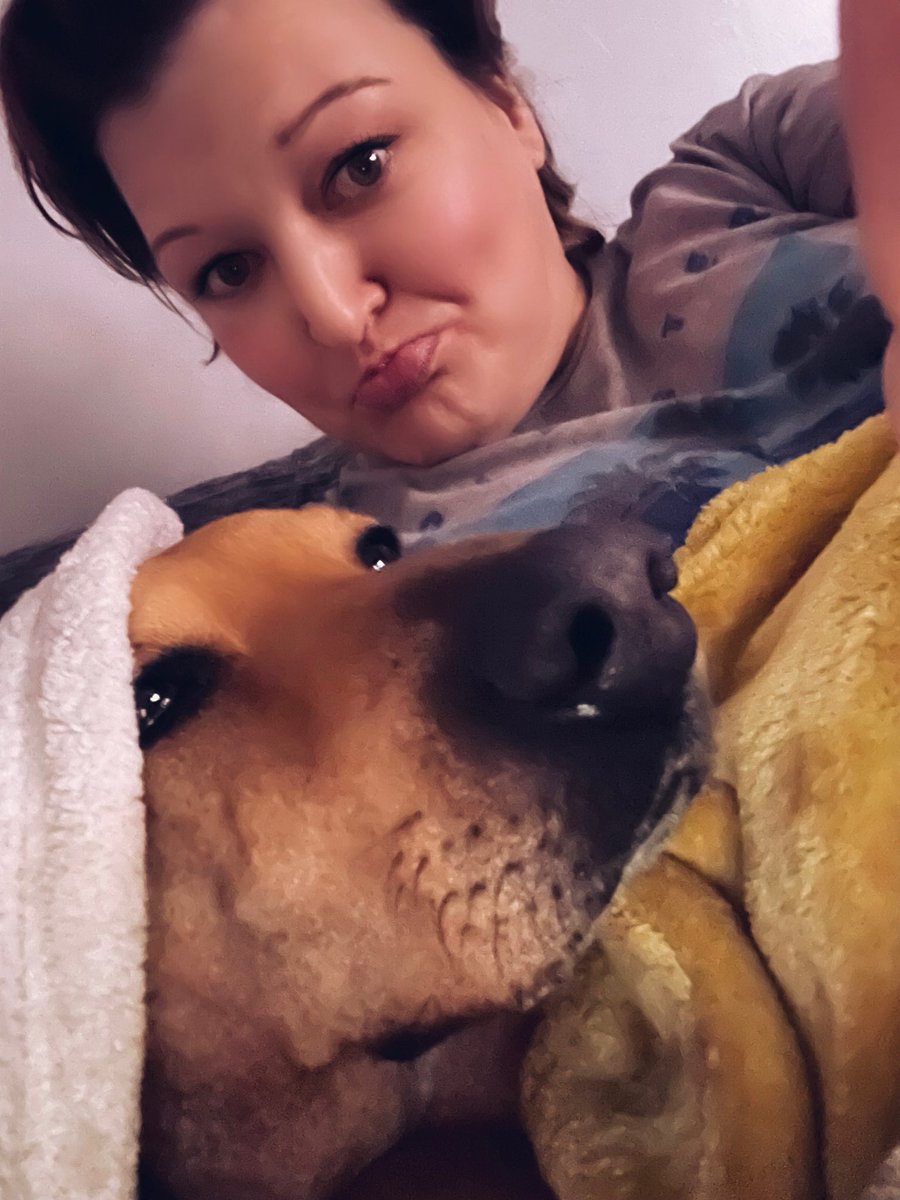 Nursekellogg13's tweet image. At the 1st rumble she came running to dive under the covers!! Sleep well friends! #ThunderBuddy